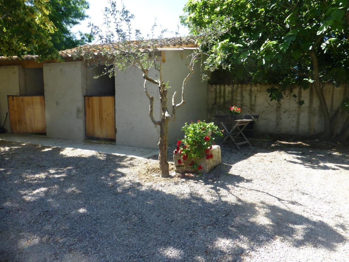 Mas D'Auzieres Bed & Breakfast Saint-Gilles  Ngoại thất bức ảnh